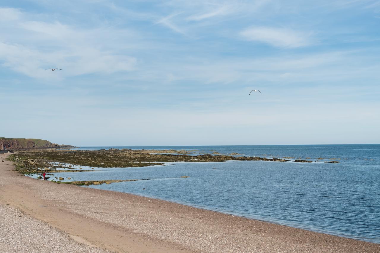 The Beach Apartment Stonehaven Exterior foto